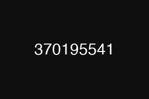 370195541