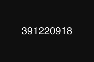 391220918