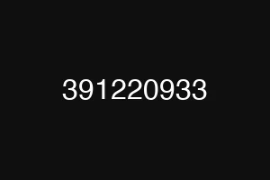 391220933