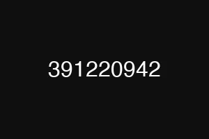 391220942