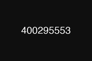 400295553