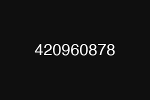 420960878