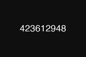 423612948