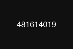 481614019