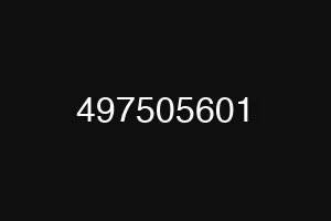 497505601