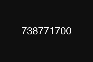 738771700