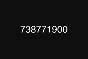 738771900