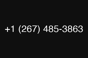 +1 (267) 485-3863