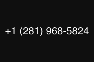 +1 (281) 968-5824