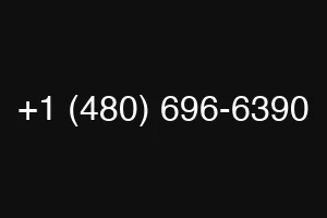 +1 (480) 696-6390