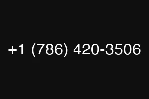 +1 (786) 420-3506