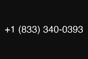 +1 (833) 340-0393