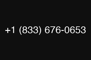 +1 (833) 676-0653