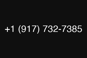 +1 (917) 732-7385