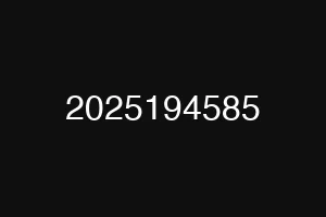 2025194585