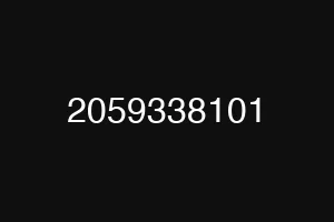 2059338101