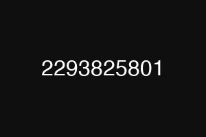2293825801